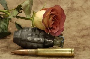 Krieg verändert Fokus - Rose und Munition
